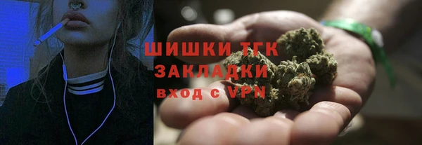 гидра Алексеевка