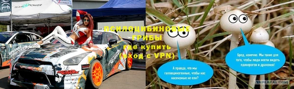 гидра Алексеевка