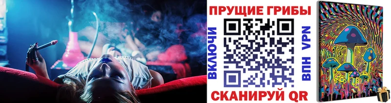 ОМГ ОМГ зеркало  Находка  Галлюциногенные грибы Cubensis  даркнет сайт 