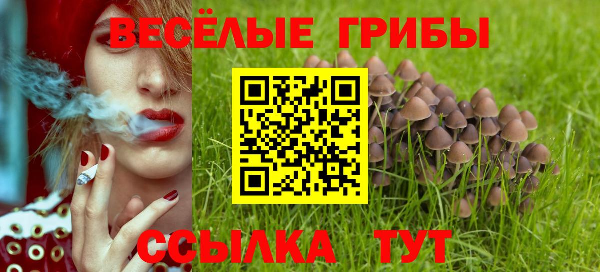 ЭКСТАЗИ  Находка  ГАШИШ  Вход с VPN  Меф   ГАШ  А ПВП СК кристаллы  Наркошоп  Cocaine  Конопля 
