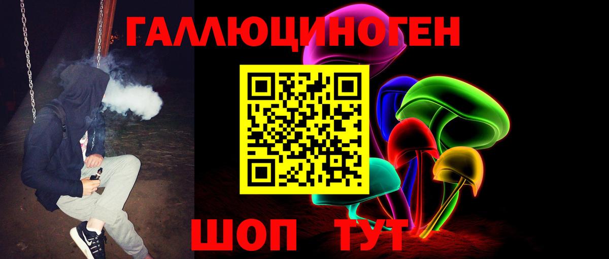 Находка  Псилоцибиновые грибы мицелий  Вход с VPN 